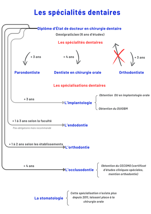 schéma des spécialités dentaires